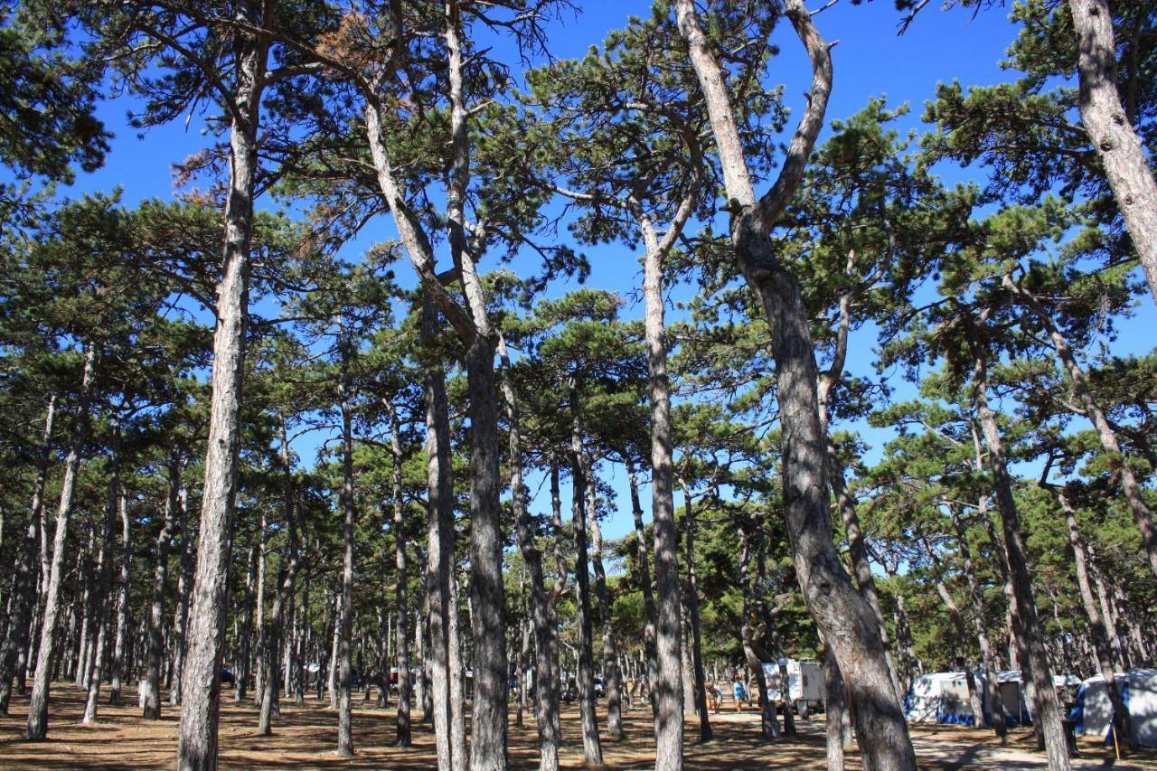 Camping Planik Otel Ražanac Dış mekan fotoğraf