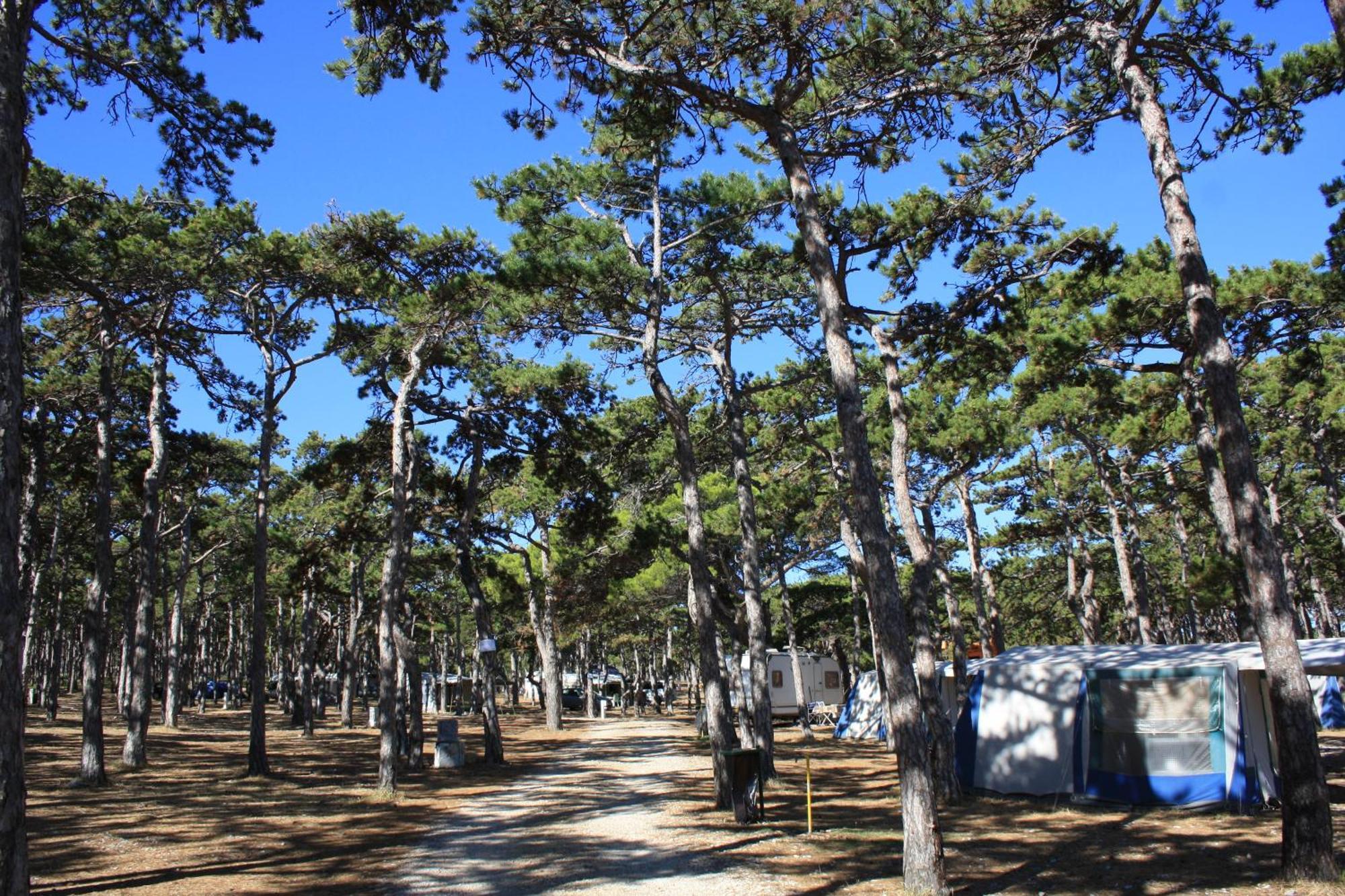 Camping Planik Otel Ražanac Dış mekan fotoğraf